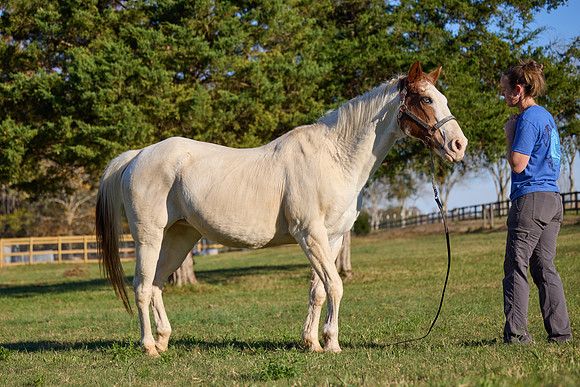 20241125princess-hc0726