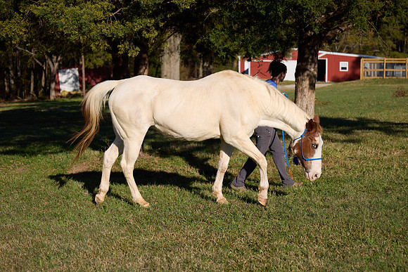 20241125princess-hc0315