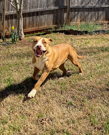 20250317lulu-hc028