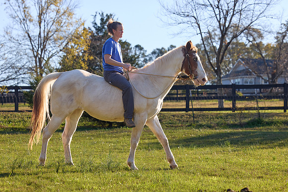20241125princess-hc0996