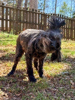 20250321jack-hc085