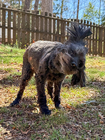 20250321jack-hc085