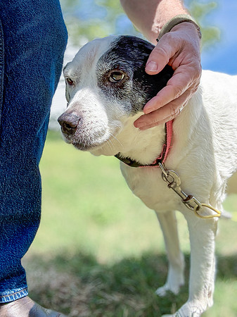20250419daisy-hc009