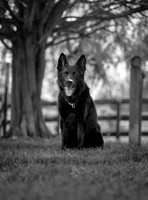 20240116fayne-hc003bw
