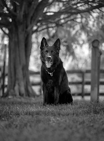 20240116fayne-hc003bw