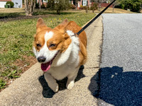20250321sybbie-hc096