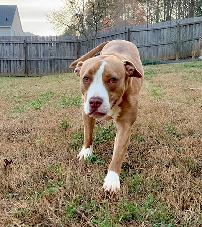 20250319lulu-hc049