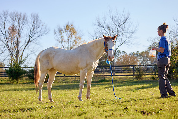 20241125princess-hc1154