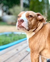 20250319lulu-hc046