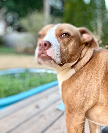 20250319lulu-hc046