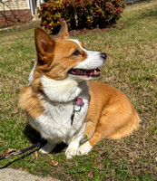 20250317sybbie-hc012