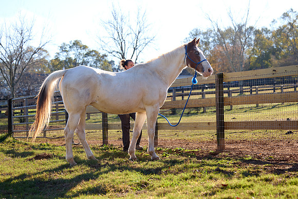 20241125princess-hc0073