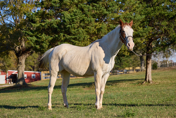 20241125princess-hc0689