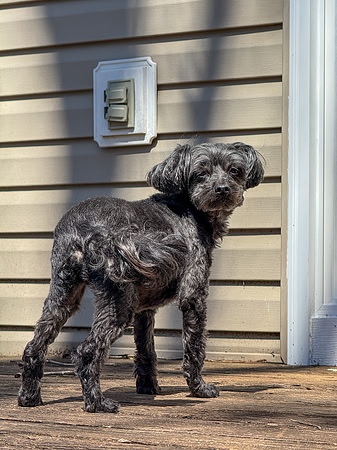 20250317jack-hc034