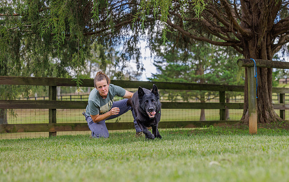 20240116fayne-hc035a