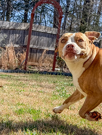 20250317lulu-hc030