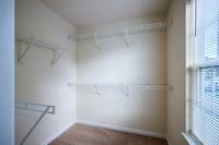20250724-457woodbark-ct-hc703hdr