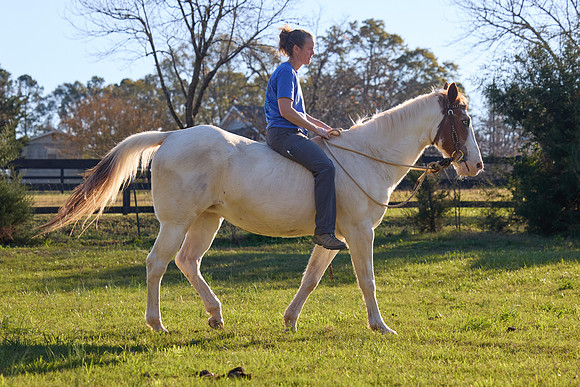 20241125princess-hc0999