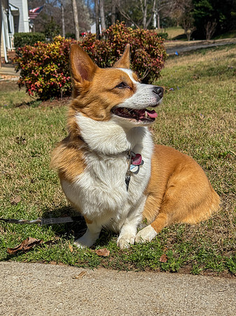 20250317sybbie-hc016
