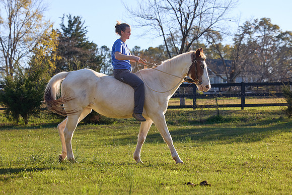 20241125princess-hc0997